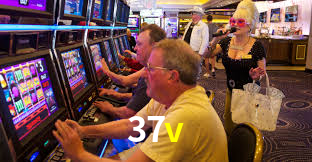 37v,37v.com