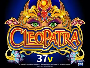 37v - cassino ao vivo