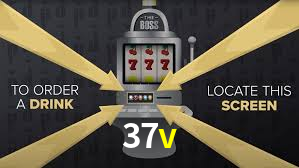 Programa VIP 37v